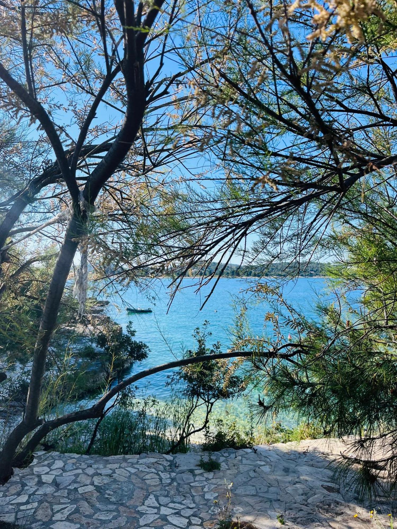 Apartmani Mate Rogoznica (Sibenik-Knin) Exterior foto